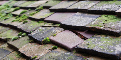 Haigh roof repair costs